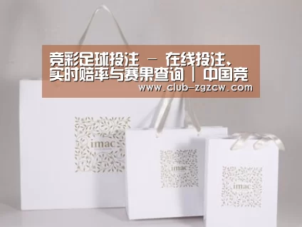 项目名称十一