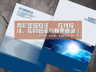 项目名称十