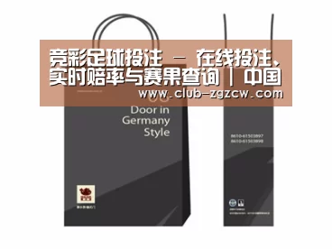 项目名称十四